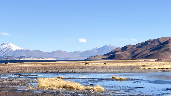 我在安第斯高原见证“紫金速度”